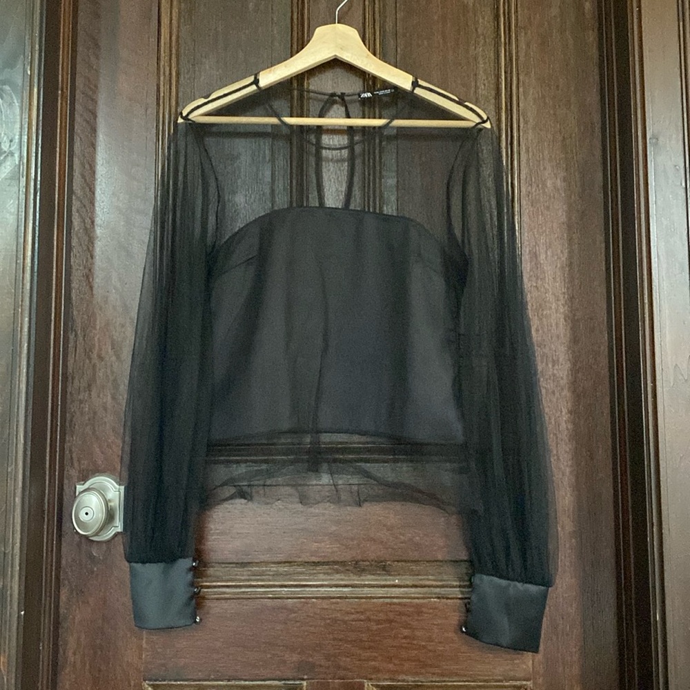 Zara Sheer Tuxedo Top!